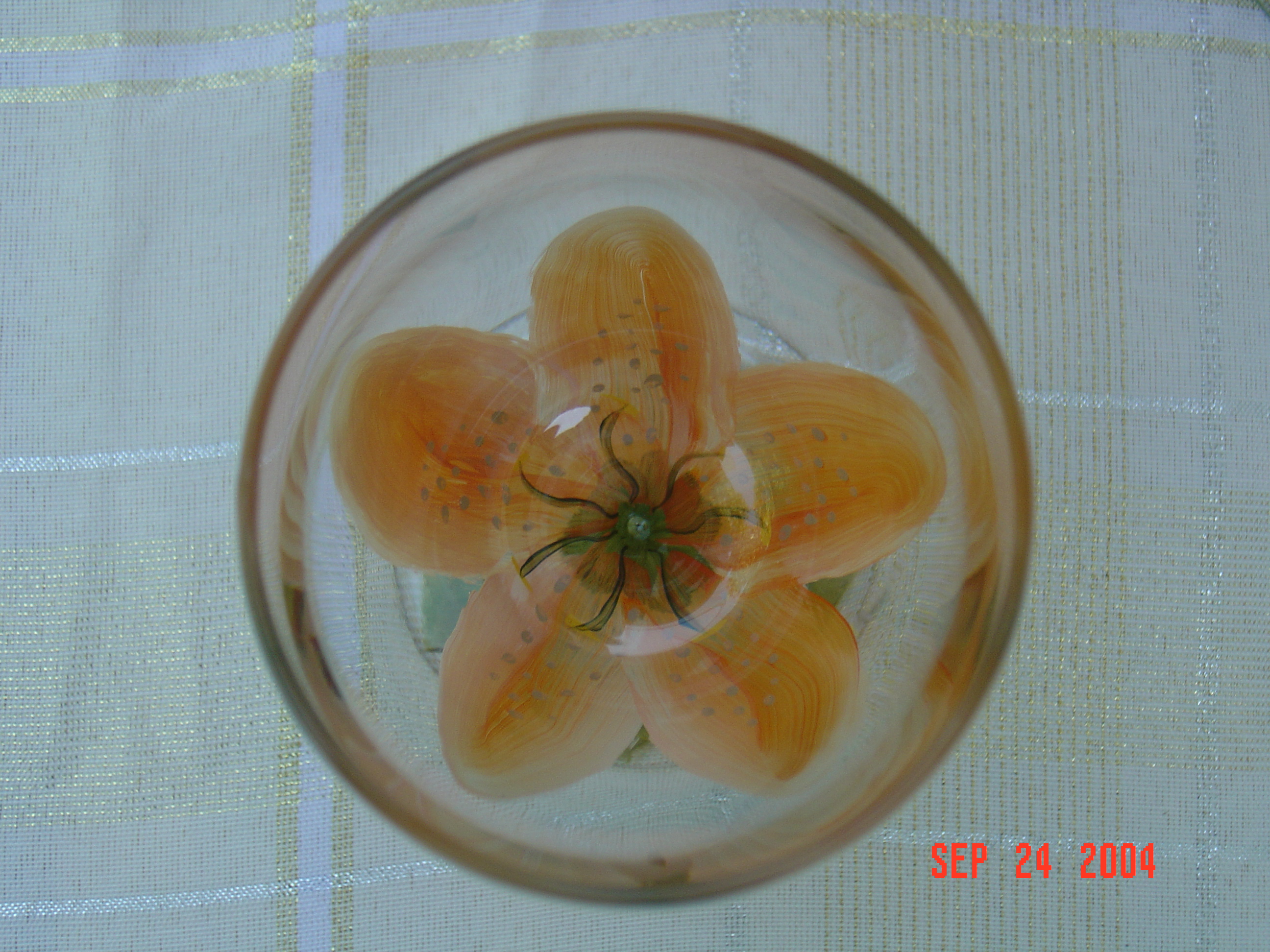 orangewideflower.jpg